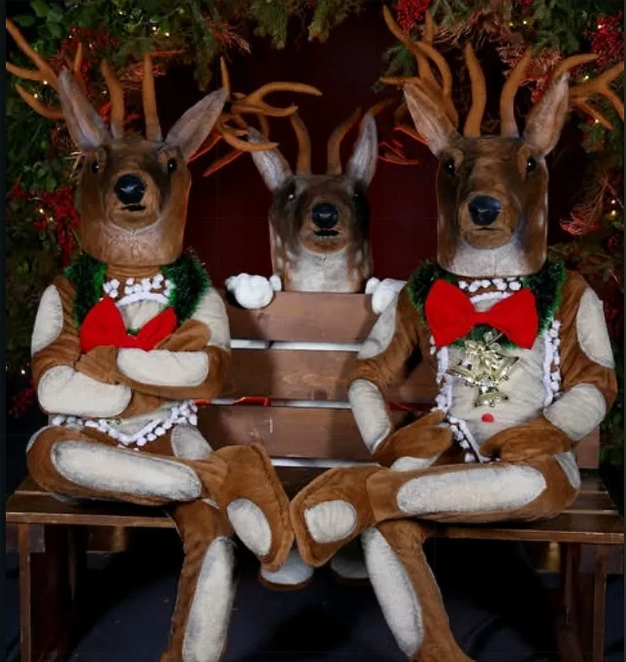 Christmas Mascots