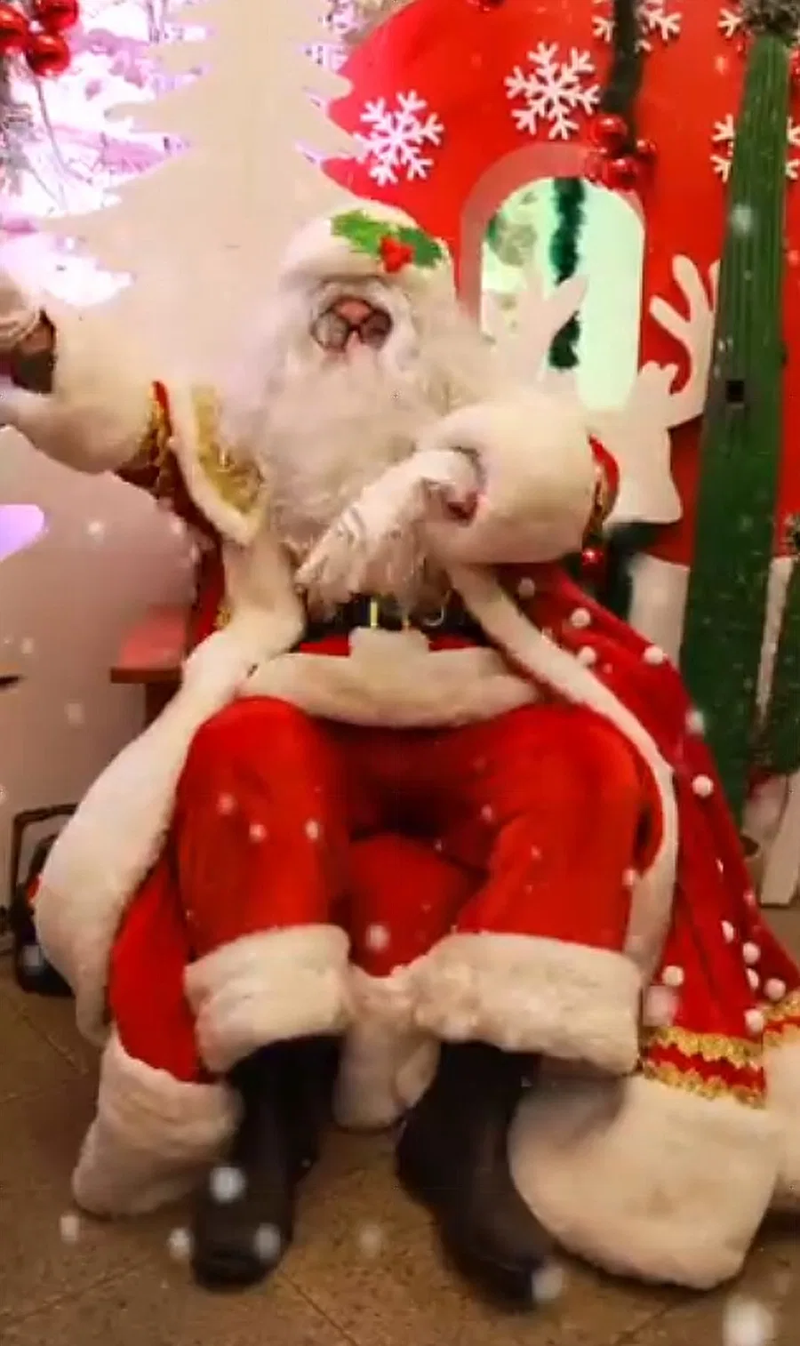 Christmas Mascots - Christmas & Seasonal Mascots in Lebanon by Paradream Events, photo 4